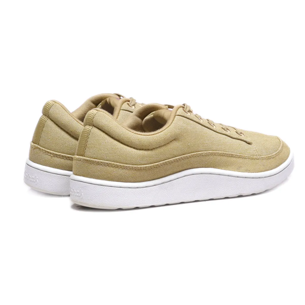 Allbirds Pacers Sport Shoes Canvas Beige Colour For Women