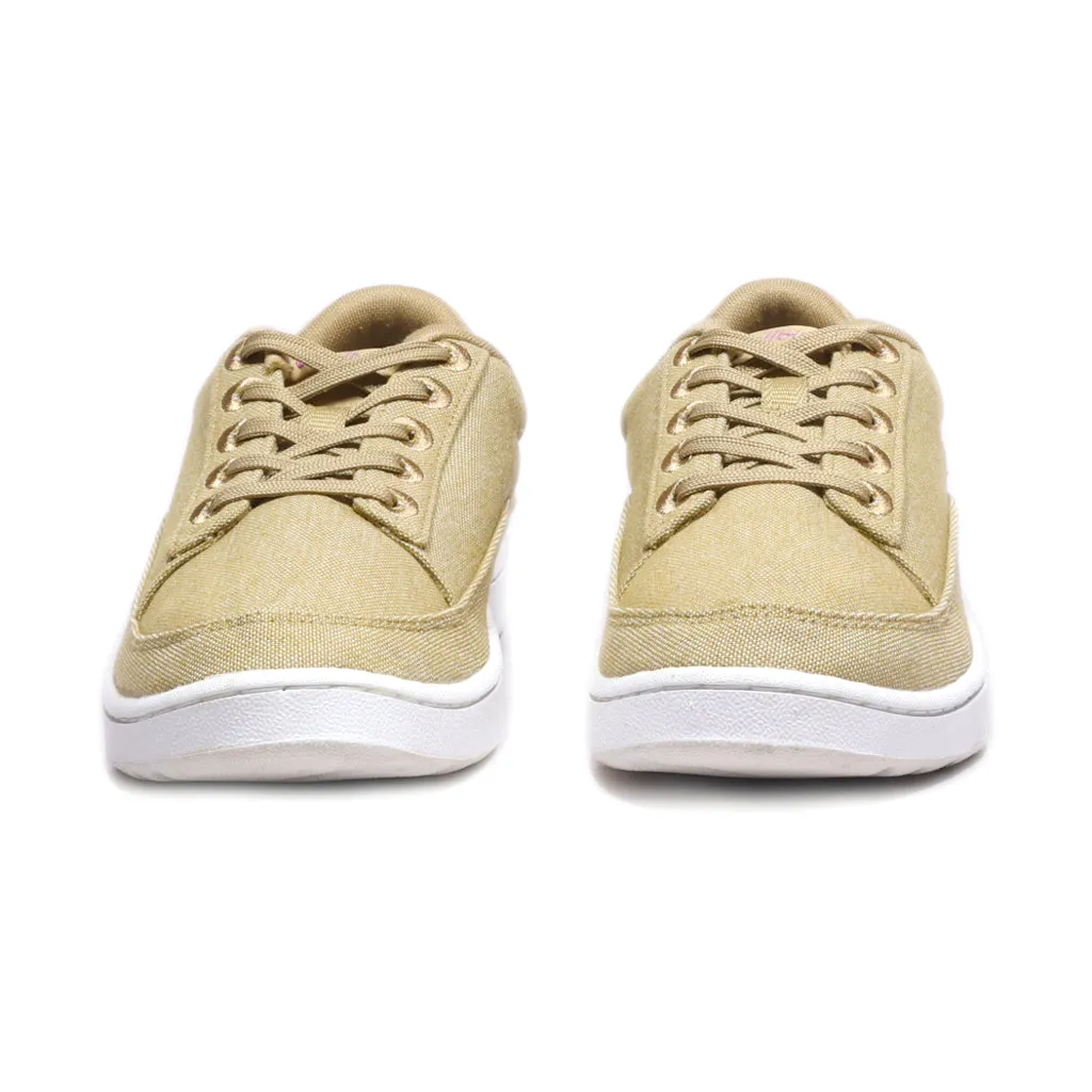 Allbirds Pacers Sport Shoes Canvas Beige Colour For Women