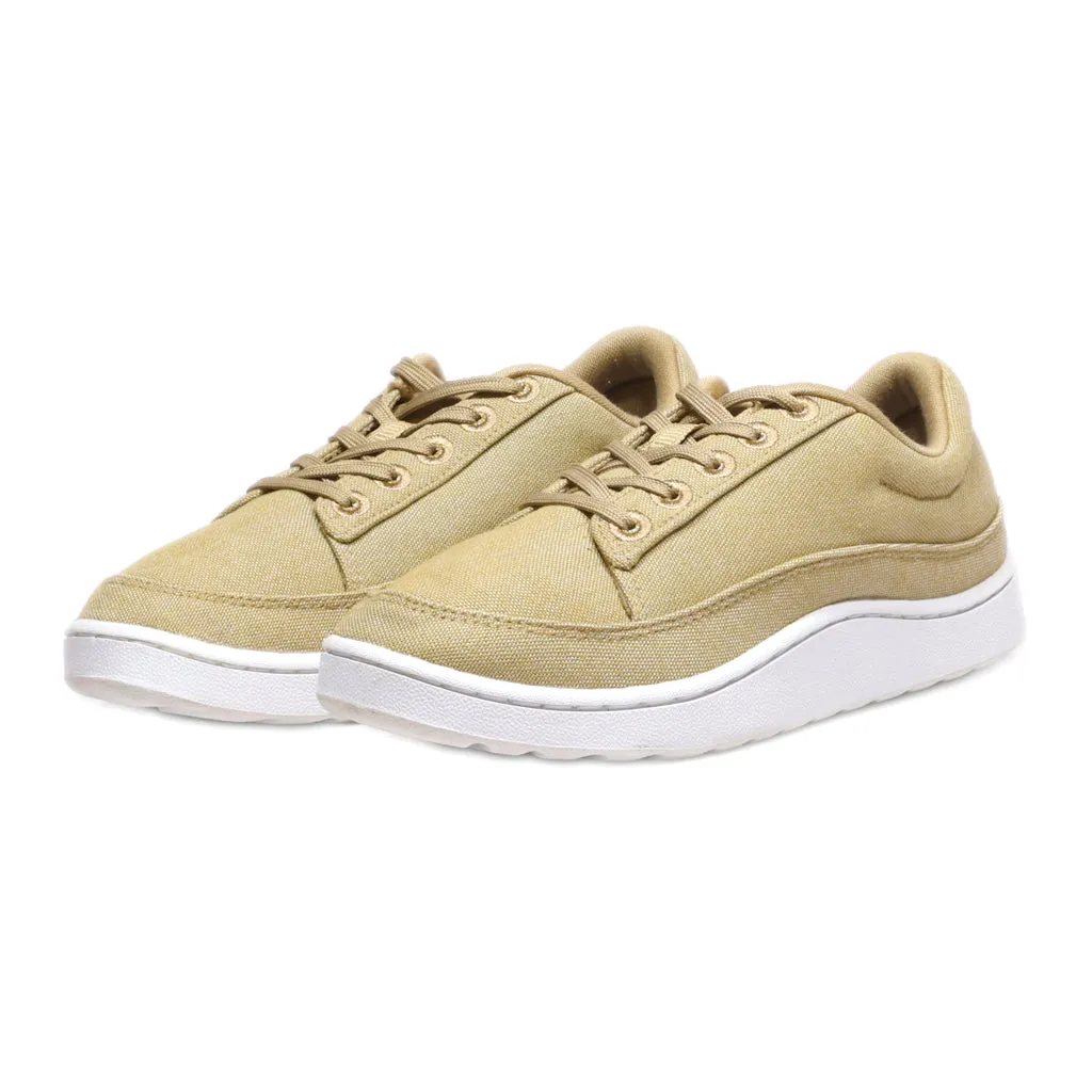 Allbirds Pacers Sport Shoes Canvas Beige Colour For Women